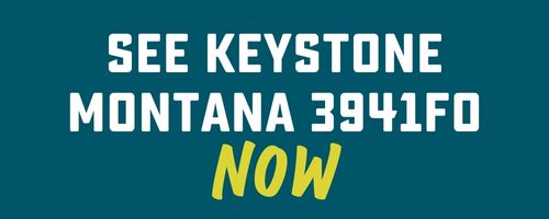See Montana 3941FO now