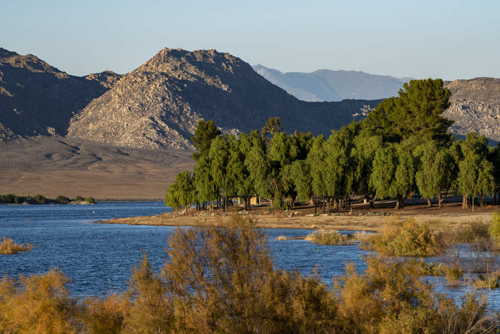 A scenic view of Lake Perris in California with calm blue water in the foreground, a grove of tall green trees along the shoreline, and rugged brown mountains in the background under a clear sky.