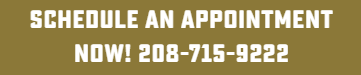 Gold banner with bold white text that reads: Schedule an appointment now! 208-715-9222.