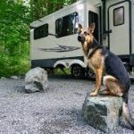 Pet-friendly RV parks in Port St Lucie