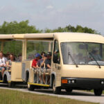 Fun-RV-Camping-Activities-in-South-Florida-Shark-Valley-Tram-Tour