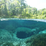 Best RV Stops Along I-75 North Florida