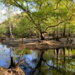 I-10 RV Parks Withlacoochee River
