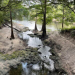 North Florida RV camping Suwanee River State Park